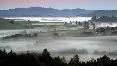 New Zealand, North Island in fog, landscape, fog, mountains, North Island, New Zealand