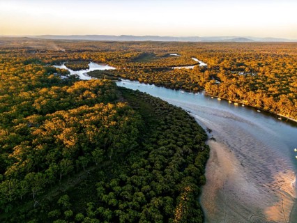 Serene aerial view of a winding river cutting through a lush, dense forest with sunlit trees in