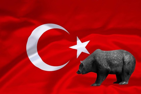 Stock market, stock prices in Turkey, bear market, falling prices, flag, national flag, bear, bull
