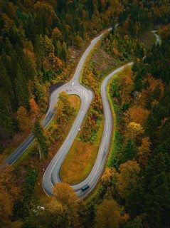 S-bend in the deep autumn forest, Hirsau, Calw, Black Forest, Germany