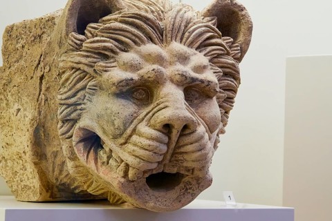 Ancient lion head gargoyle, gargoyle, A lion's head as stone relief shows ancient artistry and