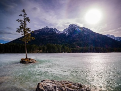 Tree on a small rock in frozen Hintersee, above Hochkalter, Berchtesgaden National Park, Ramsau,