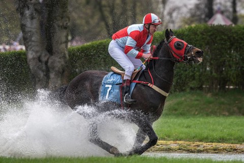 WROCLAW, POLAND - APRIL 15, 2018: International race with obstacles for five years and older horses