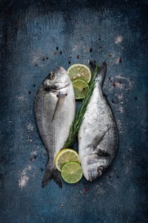 Fresh, raw dorado fish, on a dark blue background, top view, two pieces, no people
