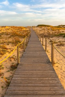 Wooden boardwalk path extending into the distance, guiding towards a beach or horizon through