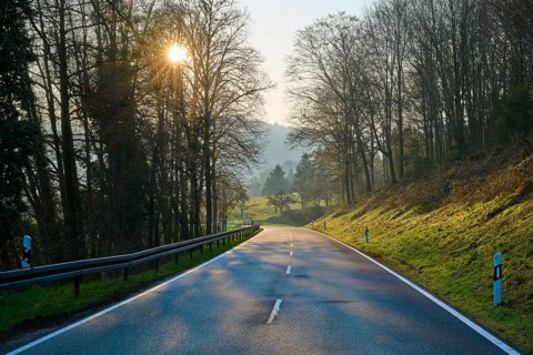 Wet road in the forest, sunlight shining through trees, Boxtal, Main-Boxtal, Tauber district,