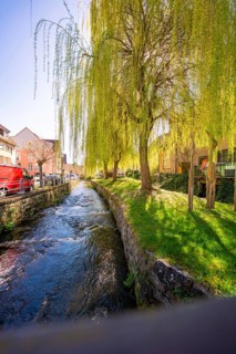 An urban river flows next to a pasture in sunny weather, Aidlingen, Böblingen district, Germany