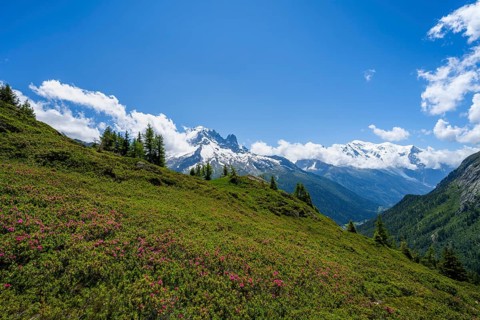 Mountain panorama with glaciated mountain peaks, Aiguille du Midi and Mont Blanc, hiking to