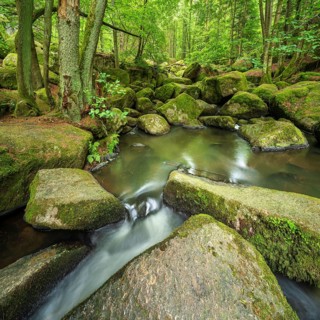 The Höllbach in the Hölle Nature Reserve flows through green forest and large moss-covered rocks,