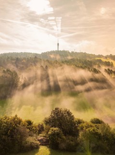 Morning atmosphere with sunbeams breaking through fog over a hilly forest, Gechingen, Black Forest,