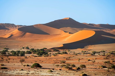 Red sand dunes, Sossusvlei region, Namib Desert, Namib-Naukluft National Park, Namibia