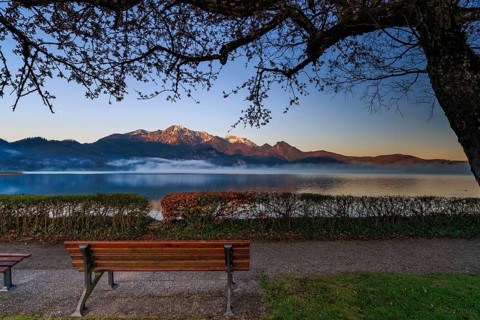 Lake, reflection, bench, tree, park bench, fog, sunrise, morning mood, mountains, mountainscape,