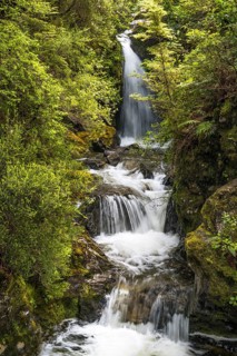 Waterfall in the forest. Avalanche Creek Waterfall, Arthurs Pass, Canterbury South Island, New