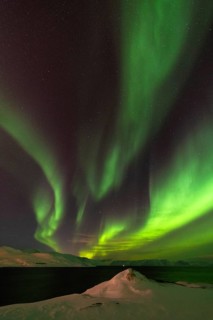 Northern Lights (Aurora borealis), Hasvik, Söröya, Finnmark, Norway, February 2019