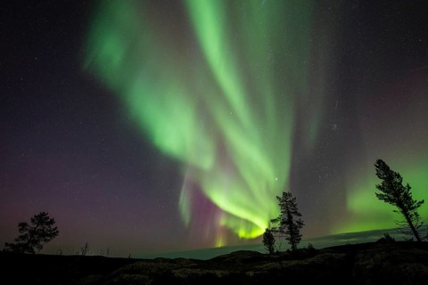 Northern Lights (Aurora borealis), Norrbotten, Lapland, Sweden, September 2024