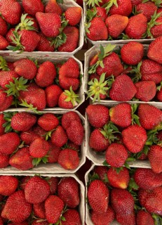 Freshly harvested red strawberries in cardboard punnets at a market stall. Local seasonal fruit
