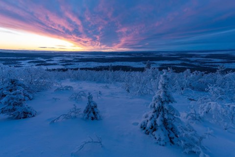 Dusk over marshland, Sjaunja Nature Reserve, Laponia World Heritage Site, Norrbotten, Lapland,