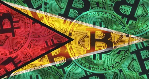 Bitcoin coins on Guyana flag background. Golden bitcoin coins on Guyana flag background