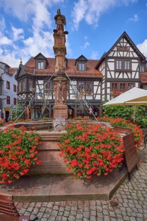 Market fountain with geraniums and half-timbered house under a blue sky with cumulus clouds on the