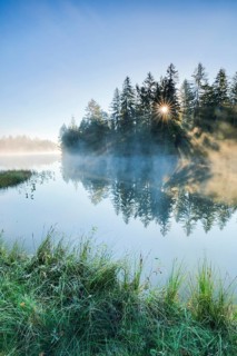 Rays of sunshine make their way through forest and fog at the mirror-smooth moorland lake Étang de