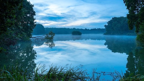 Daybreak with fog at blue hour in the Ahlhorner Fischteiche nature reserve of the Lower Saxony