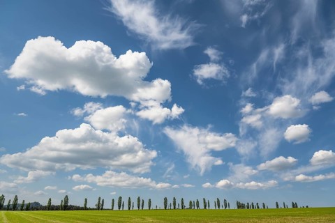 Cloudy sky over a row of poplars, flatness, Saxon Switzerland, Saxony, Germany, May 2024