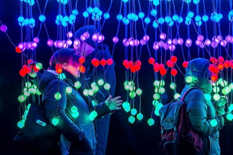 Park lights, winter event, in the Grugapark in Essen, many different light installations, across
