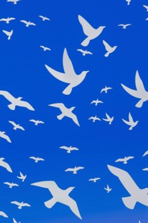 Close-up of backlit white flock of birds In flight theme motifs on blue tinted plexiglass panel