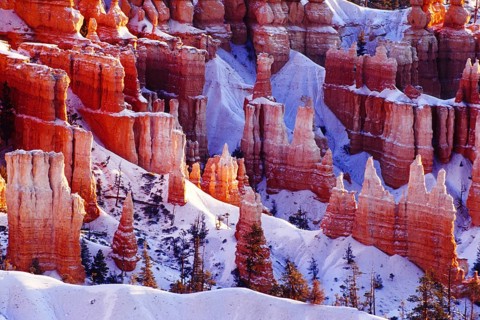 Bryce Canyon in winter