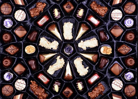Chocolates in a box of chocolates Studio shot, Lower Saxony, Federal Republic of Germany