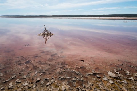 Australia, Western Australia, salt lakes, vastness, longing, reflection, reflection, mirrored,