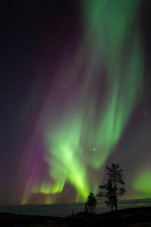 Northern Lights (Aurora borealis), Norrbotten, Lapland, Sweden, September 2024