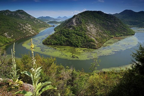 Montenegro, Lake Skadar, Lake Skadar, Lake Skadar, Balkan Peninsula, Montenegro