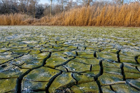 Winter hoarfrost at Ahlhorn fish ponds, Ahlhorn fish ponds, Ahlhorn, Lower Saxony, Germany