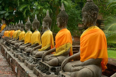 A serene row of stone Buddha statues adorned with vibrant orange robes, situated in a lush, green