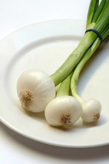 Onion, spring onions on a plate