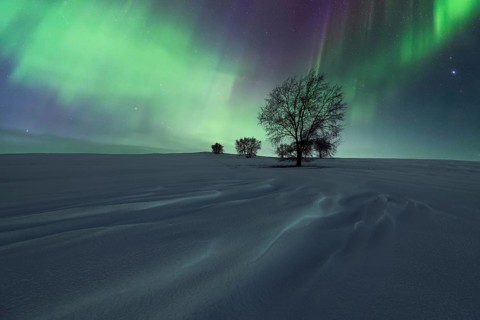 A breathtaking display of the Northern Lights dances above snow-covered plains, punctuated by