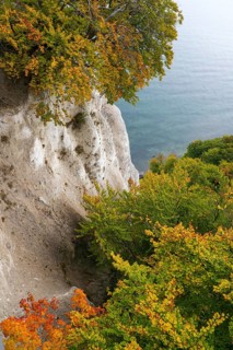 View of chalk cliffs and Baltic Sea, trees with autumn leaves, Jasmund National Park, Sassnitz,