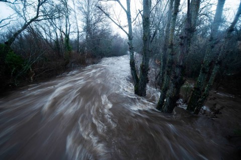 The Henares River swells massively, flooding the surrounding banks in Guadalajara, Spain, captured