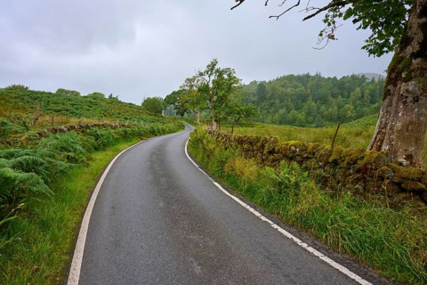 A winding country road leads through a green landscape with trees and a low stone wall under cloudy