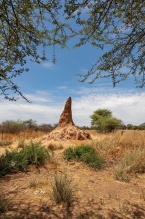 A termite mound in a vast African savannah landscape with trees and a clear view of the sky,