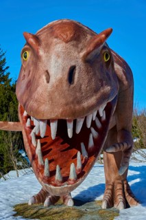 Tyrannosaurus rex, brown dinosaur sculpture with open mouth in winter, Triassic Park, Steinplatte,