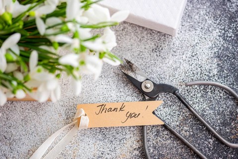 Top view of fresh spring snowdrops arranged next to a ribbon-wrapped gift box, floral scissors, and