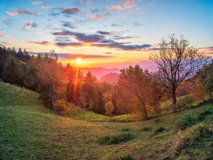 Sunset in the Scharzwald in autumn, view over the Rhine plain to the Vosges, Black Forest,