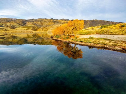 Aerial view of stunning autumn colors around a tranquil New Zealand lake in Queenstown. The