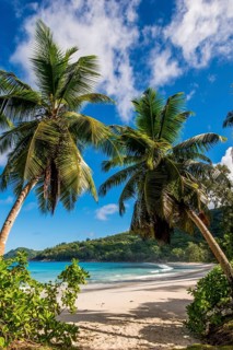 Petit Police Bay Beach, Mahe, Republic of Seychelles, Indian Ocean