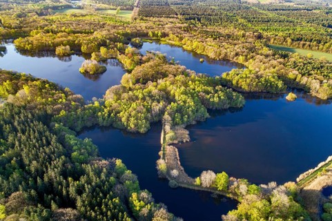 Aerial view of Ahlhorn fish ponds, autumnal, pond, lake, Lower Saxony State Forests, Ahlhorn, Lower