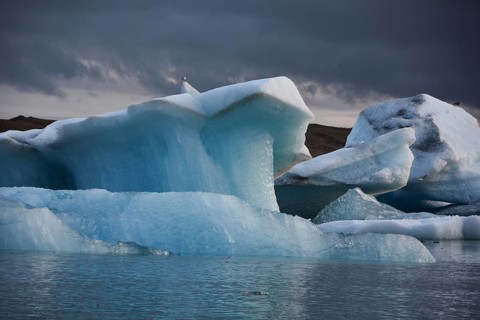 Iceland, Northern Europe, glacier, Jökularson, glacial lake, calved glacier, ice sculptures, ice