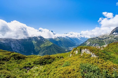 Mountain panorama with glaciated mountain peaks, Aiguille Verte with Aiguille du Midi and Mont