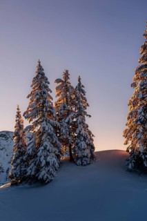Sunrise snow tour on the Tegelberg in the Allgäu in Bavaria. Winter Wonder Land, Germany